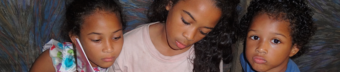 Subero Family Banner